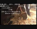 ついに産まれたシュシュブリーズ初仔UC