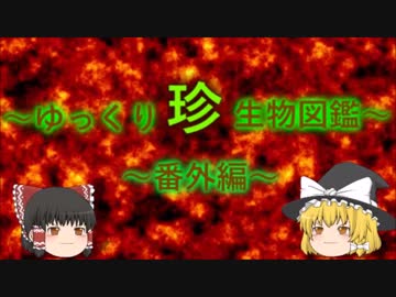 ～ゆっくり　珍　生物図鑑～　番外編24