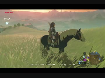 （４８）はじめてのゼルダの伝説ブレスオブザワイルド