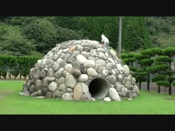 【下北山スポーツ公園：キャンプ2日目】岩山登りをして頂上でバンザイをするあい❤お出かけ　遊具　土管　トンネル