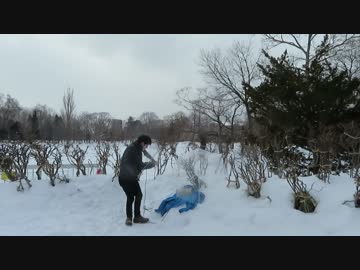 【弾いてみた】重力シンパシー AKB48【バイオリン】【演奏してみた】