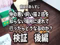 検証！仲の悪い２匹を知らない場所に連れて行くとどうなるのか！？ 後編