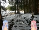 琴葉姉妹は山に登りたい【比叡山編part2】