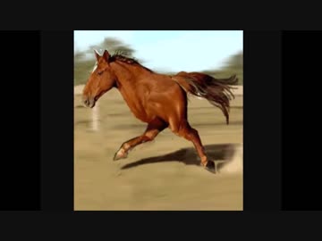 二本足の馬 - ニコニ・コモンズ