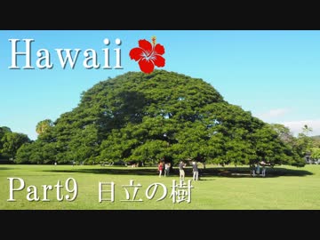 【ゆっくり】南国ハワイ一人旅　Part9　日立の樹