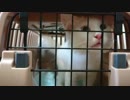 【HR299】メインクーンの子猫 ユークレースちゃんお迎え1日目