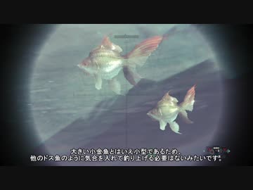 【MHW】釣りハン日誌 第四回 小金魚編【釣り動画】