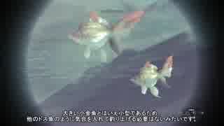 【MHW】釣りハン日誌 第四回 小金魚編【釣り動画】