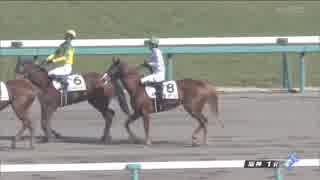 《武幸四郎厩舎初勝利》2018/03/03 阪神1R 3歳未勝利【グアン】