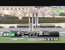 2018年 チューリップ賞(GⅡ) ラッキーライラック