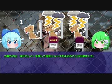 ゆっくりと見る心理学実験【学習性無力感】