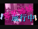 【琴葉茜・葵】琴葉姉妹、旅行中。15日目【ボイスロイドマーチ２・チェビオフェスタ・ずんぱ】