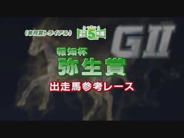 代替え 参考レース＆調教VTR 弥生賞2018 GⅡ