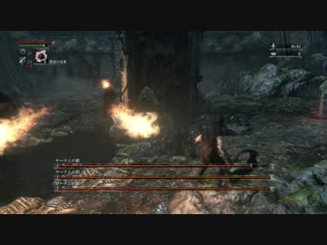 ソウルシリーズ+ブラボ全5作品を"SL1"でクリアする【実況】Part23