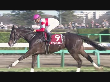 2018年　第55回 弥生賞（GⅡ）【ダノンプレミアム】