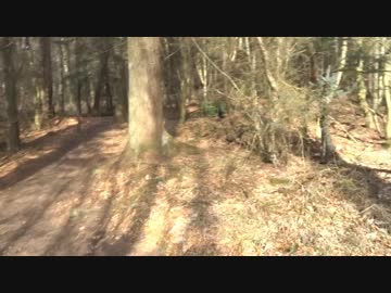 Walk Around Templeton Woods Dundee