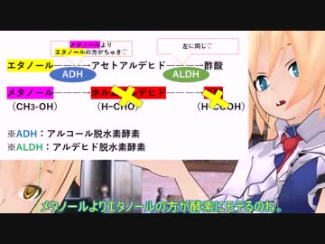 【東方MMD】お酒が解毒薬になる？「ゆっくり解説」