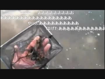 3.04 【魚釣り】どぶ川トップワーラー