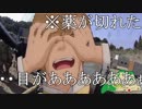 杉めぇ・・・うらめしや・・・ OP.326 20180304HEAD-SHOT