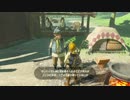 ぐだぐだ　ゼルダの伝説　ブレスオブザワイルド　の世界を散歩するの16