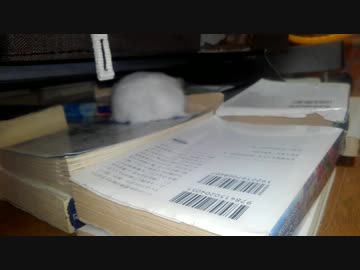 ハムスター飼いました。その18～はむんぽ2～