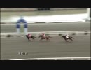 2018年3月4日高知競馬1R 香川県馬事畜産振興協議会協賛 香川県馬事畜産振興協議会特別(C2-7組) トーホウレゼルヴ