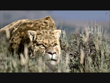 絶滅してよかったと思う 怖い動物 ニコニコ動画