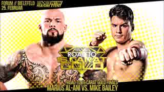 【wXw】マリウス・アル-アニvsマイク・ベイリー【決勝戦】