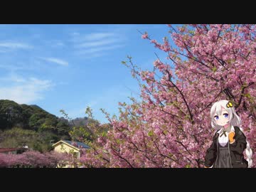 【河津桜】紲星あかり to ツーリング！ Part2