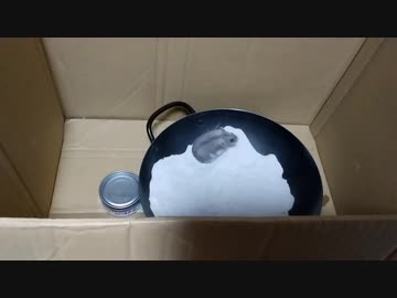 ハムスター専用大浴場