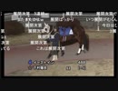 あれから3カ月たった、高知のパドック解説