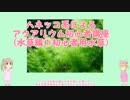 ハネッコ系によるアクアリウム初心者講座(水草編①初心者用水草)