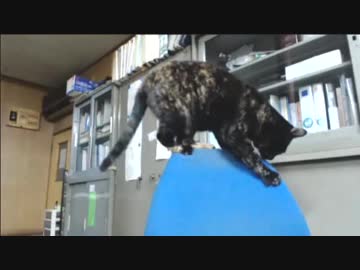 ガクガクプルプル