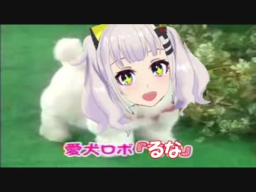 愛犬ロボ　輝夜月