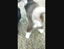 wx_camera_1513590488409