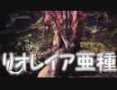 「夫婦喧嘩は止まらない」【MHW実況Part15】