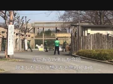 東武動物公園　捕獲訓練の様子