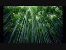 【30分間耐久】 アウトドアライフ2 / わくぷよダンジョン決定盤