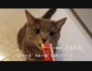 第948位：【第2弾】【イナバCIAOちゅ〜るMV】「ちゅ〜るしよ！」フルバージョン