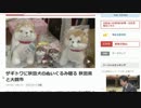 今週の牛鍋 その493