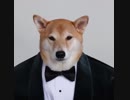 ヨツンヴァイン兄貴