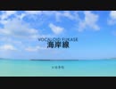 海岸線 - VOCALOID FUKASE