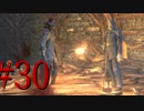 【初見実況】地底人に憧れてBloodborneを実況プレイ＃30