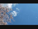 桜と旅立ち 初音ミク オリジナル曲 ボカロ