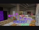 ゆっくりと長く続けたいマインクラフト10