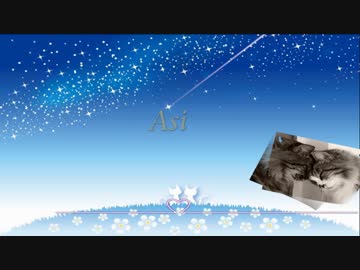 【DxM】Asi