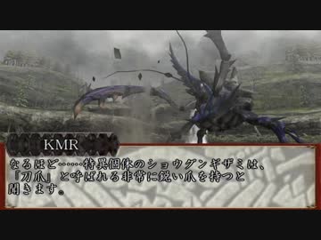 【MHF-Z】ホモンスターハンター淫夢Z Part.14