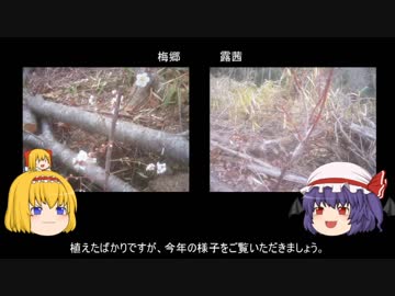 ゆっくり農民77畑を拓いてみませんか？#18