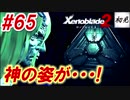 【ゼノブレイド2】実況#65 神様の姿が衝撃的すぎた
