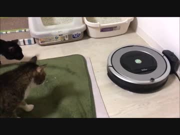 【こげつく】ルンバさんがやってきた